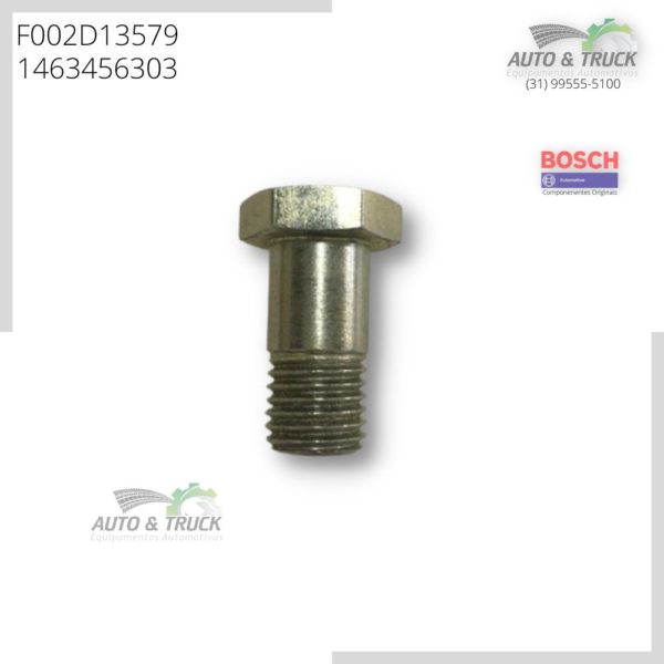 F002D13579 PARAFUSO VAZADO EPS815 1463456303