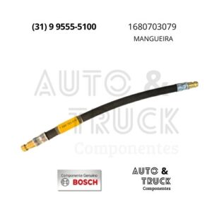 1680703079 MANGUEIRA