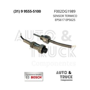 F002DG1989 SENSOR TERMICO EPS617 EPS625