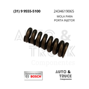 2434619065 MOLA PARA PORTA INJETOR